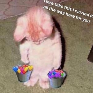 宋佳做爰三级日B
